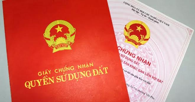 Hơn 200 di chứng liên quan 